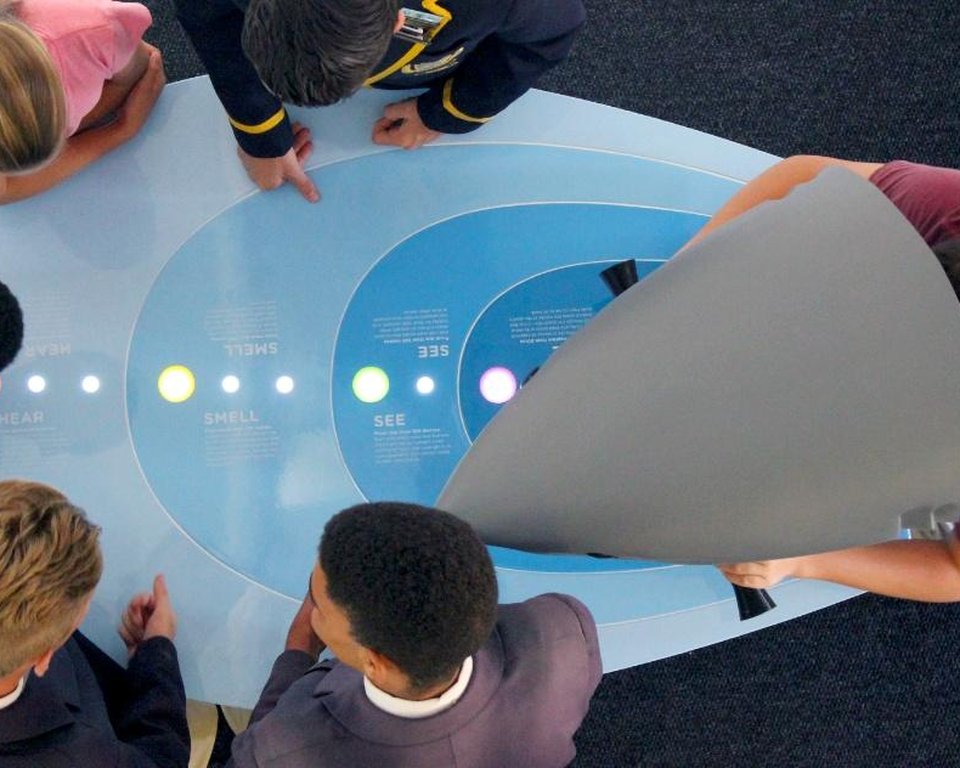 Overhead view of Shark Sense interactive exhibit with children